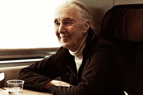 Jane Goodall på tåget till Rom 