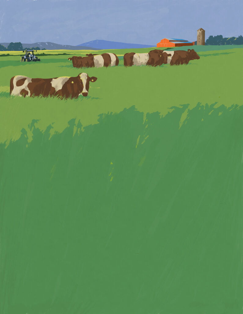 Färgglad illustration kor med en lada och traktor i bakgrund.