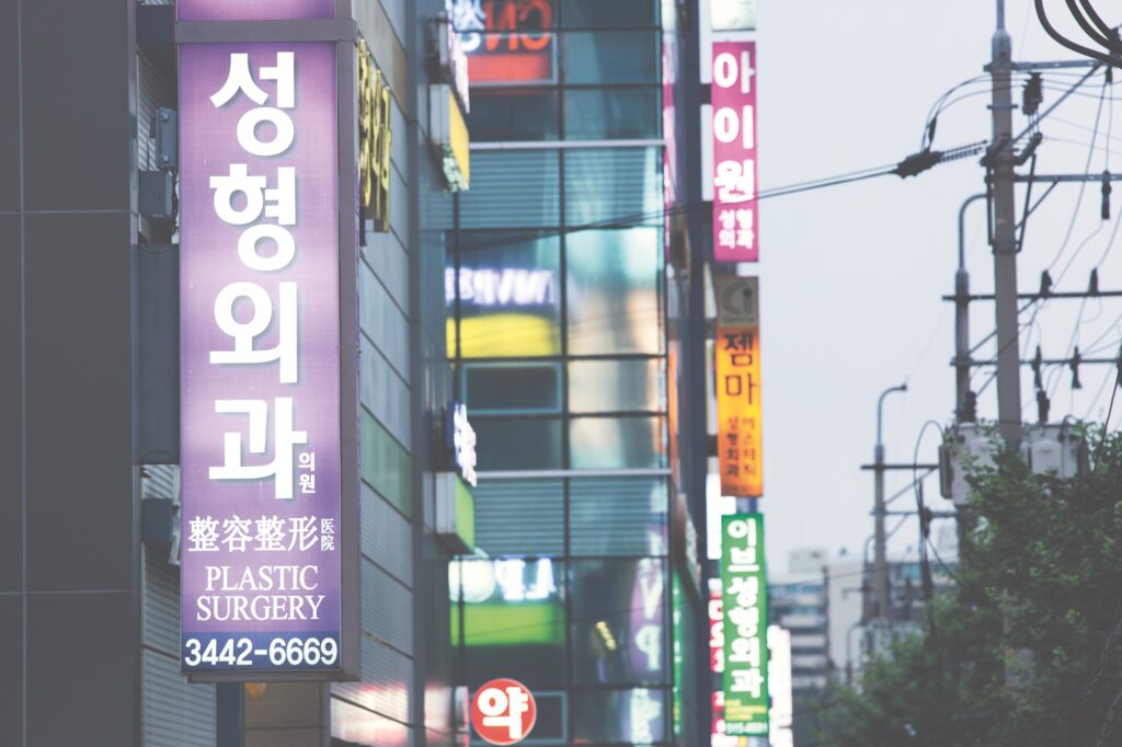 I Seoulstadsdelen Gangnam, knappt en fjärdedel så stor som Stockholms innerstad, ska det finnas drygt 900 plastikkliniker.