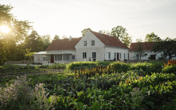 Sibbjäns är självhushållande med grönsaker, delvis tack vare den 565 kvadratmeter stora köksträdgården.